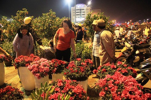 Bán tháo hoa cảnh Tết trước Giao Thừa - ảnh 9